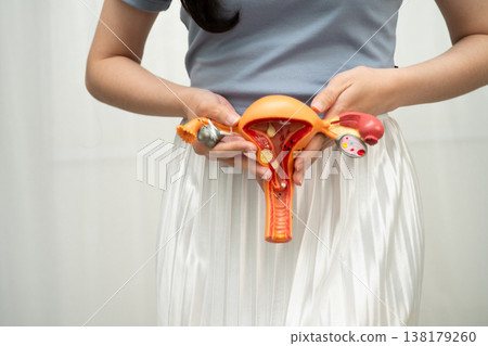 Uterus, Asian, woman holding human anatomy model. Uterus, Asian, woman holding human anatomy model. 138179260