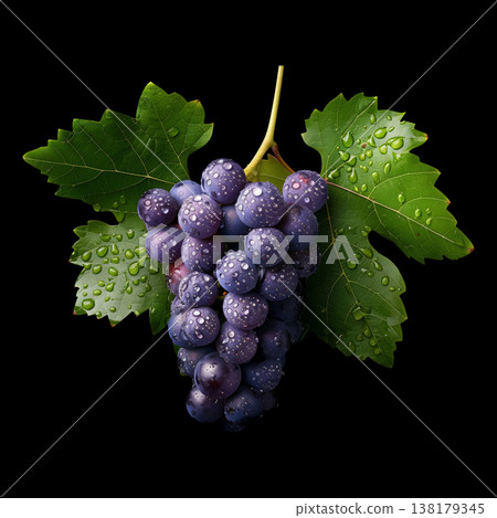 A bunch of purple grapes with leaves isolated on black backdrop with clipping path, concept freshness and natural produce A bunch of purple grapes with leaves isolated on black backdrop with clipping path, concept freshness and natural produce 138179345