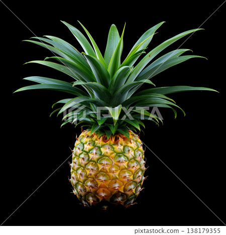 Pineapple fruit in detailed style isolated on black background with clipping path, concept of freshness and tropical nutrition 138179355
