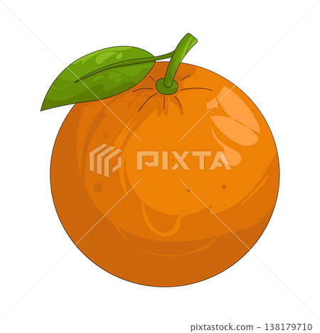 Illustration of orange Illustration of orange 138179710