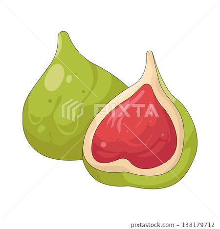 Illustration of green fig Illustration of green fig 138179712