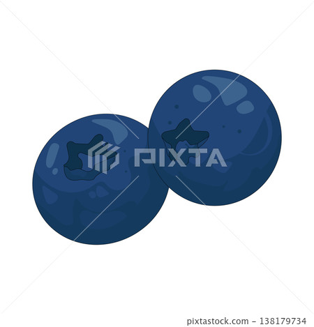 Illustration of blueberry Illustration of blueberry 138179734
