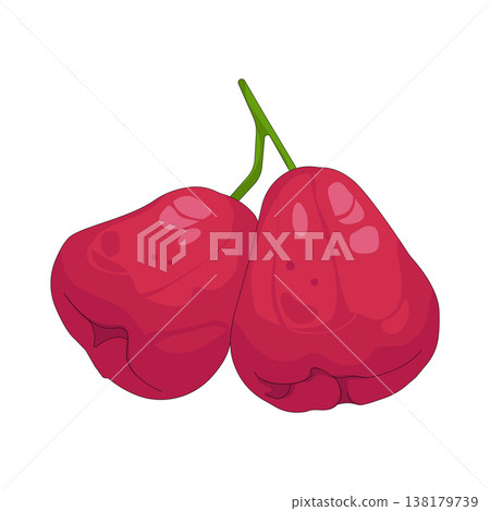 Illustration of Java apples Illustration of Java apples 138179739