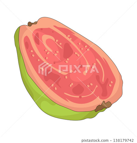 Illustration of red guava Illustration of red guava 138179742