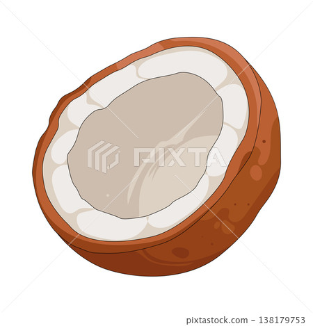 Illustration of coconut Illustration of coconut 138179753