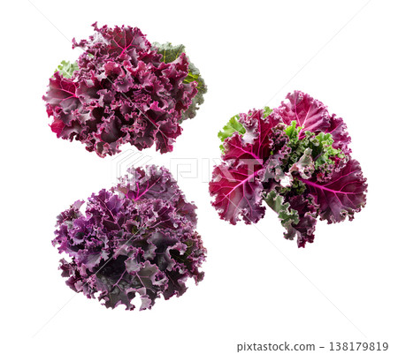 Fresh red and green curly kale leaves arranged in a seamless pattern, isolated on white background. Concept of healthy food Fresh red and green curly kale leaves arranged in a seamless pattern, isolated on white background. Concept of healthy food 138179819
