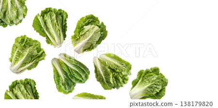 Multiple fresh romaine lettuce heads arranged in a scattered pattern isolated on white background, healthy organic food concept 138179820
