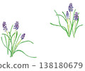 Watercolor background illustration of muscari 138180679