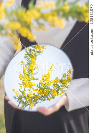 一位女士的手拿著一面鏡子,鏡子裡映出含羞草花。 一位女士的手拿著一面鏡子,鏡子裡映出含羞草花。 138181079