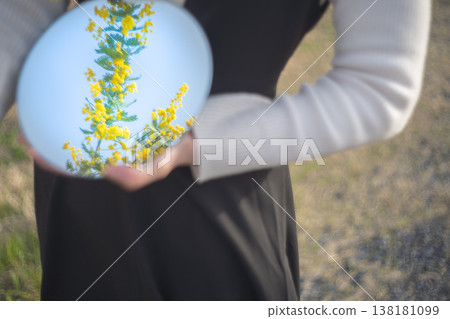 一位女士的手拿著一面鏡子,鏡子裡映出含羞草花。 一位女士的手拿著一面鏡子,鏡子裡映出含羞草花。 138181099