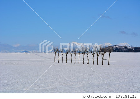 新潟縣小千谷市池原的早春雪景，以及越後三山的雪景。 138181122