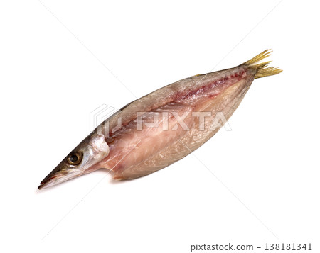 卡馬斯干魚 138181341