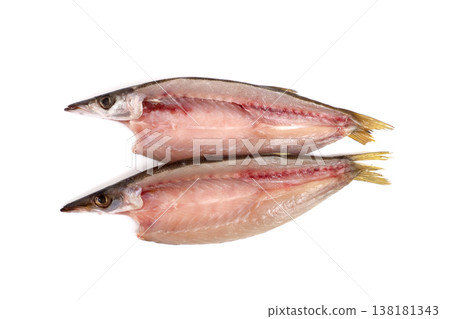 卡馬斯干魚 138181343