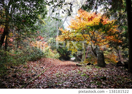 岡山縣加賀郡吉備中央町鵜鶘溪谷 138181522