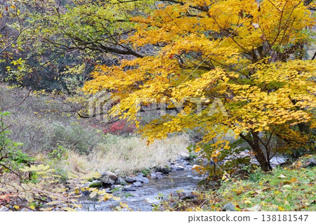 岡山縣加賀郡吉備中央町鵜鶘溪谷 138181547