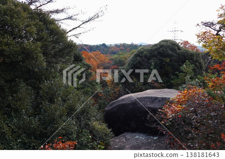 岡山縣總社市紀之城附近的鹽之石 岡山縣總社市紀之城附近的鹽之石 138181643