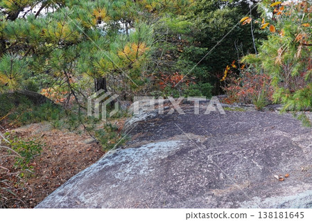 岡山縣總社市紀之城附近的鹽之石 138181645