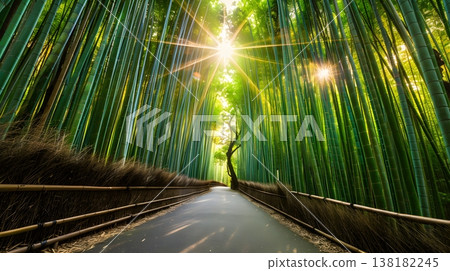 陽光透過嵐山竹林，營造出寧靜的禪意景觀。 138182245