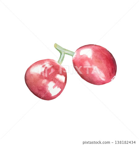 A pair of ripe red coffee berries in a watercolor set on a white background. Ripe coffee beans from an organic plantation. Hand-drawn botanical illustration for coffee shops, packaging, and print. A pair of ripe red coffee berries in a watercolor set on a white background. Ripe coffee beans from an organic plantation. Hand-drawn botanical illustration for coffee shops, packaging, and print. 138182434