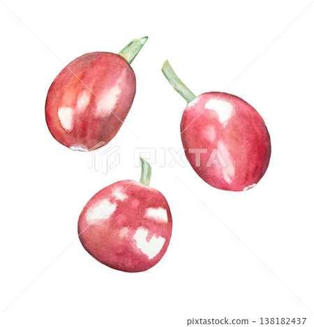 Hand-drawn ripe red coffee berries in a watercolor set on a white background. Coffee beans from an organic plantation. Botanical illustration for coffee shops, packaging, and printing. Hand-drawn ripe red coffee berries in a watercolor set on a white background. Coffee beans from an organic plantation. Botanical illustration for coffee shops, packaging, and printing. 138182437