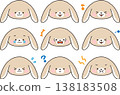 Loop-eared bunny face icon, expression set, with outlines. 138183508