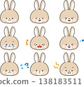 Brown rabbit face icon, expression set, with outlines. 138183511