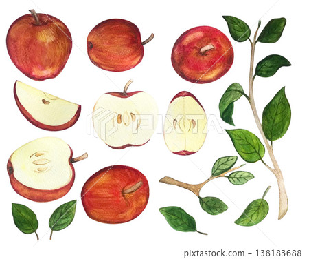 apple collection watercolor illustration apple collection watercolor illustration 138183688