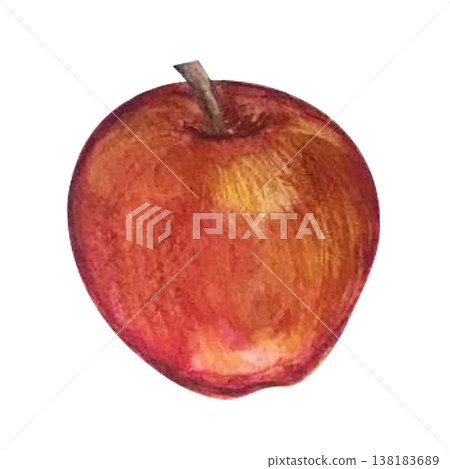 apple watercolor illustration 138183689