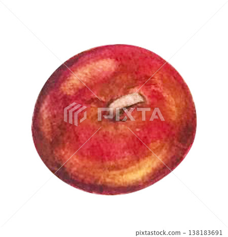 apple watercolor illustration 138183691