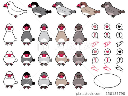 A set of illustrations featuring Java sparrows (white sparrow, cherry blossom sparrow, silver sparrow, cinnamon sparrow, and chick). 138183798