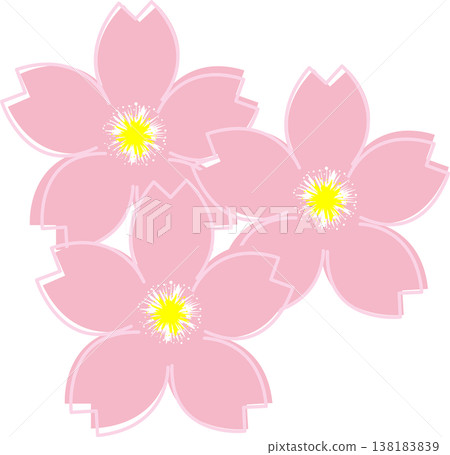 Multiple cherry blossoms, easy to use for spring decorations. 138183839