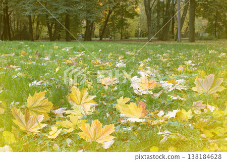 Autumn in the Park and on the streets Autumn in the Park and on the streets 138184628