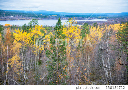 Lovely river landscape in autumn yellowed forest 138184712