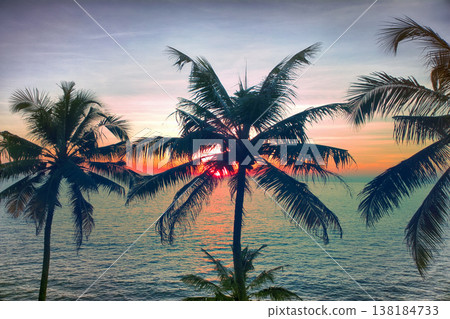 tropical beach palm tropical beach palm 138184733