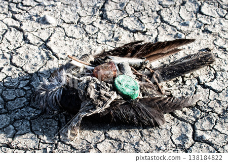 global environmental disaster. global environmental disaster. 138184822