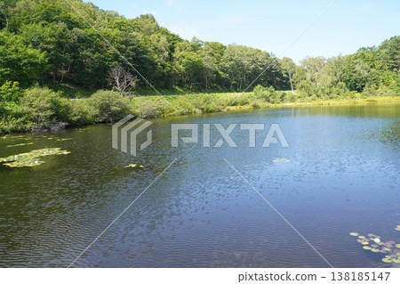 志賀高原的錦鯉池 138185147