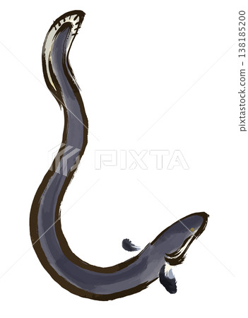 A watercolor-style illustration of an eel in an upward-facing pose, drawn with brushstrokes. A watercolor-style illustration of an eel in an upward-facing pose, drawn with brushstrokes. 138185200