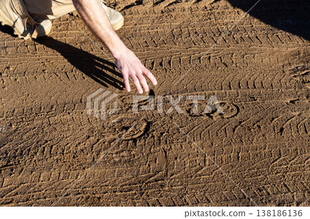 Field scientist inspects surface details and gentle impressions in dry terrain carefully 138186136