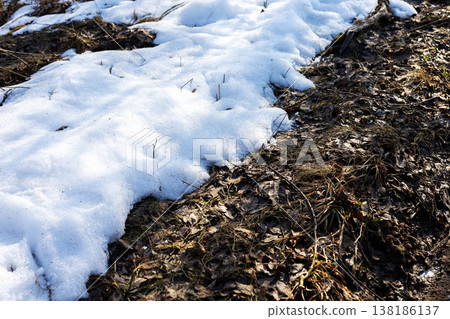 Close examination of frosty leaves and muddy earth revealing seasonal transition patterns 138186137