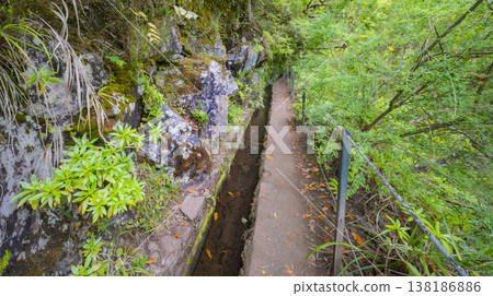 Levada do Caldeirao Verde, Madeira, Portugal Levada do Caldeirao Verde, Madeira, Portugal 138186886