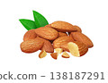Realistic illustration of an almond 138187291