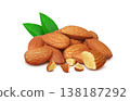 Realistic illustration of an almond 138187292
