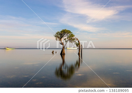 Beautiful tropical beach sea and ocean with mangrove tree on blue sky and white cloud 138189095