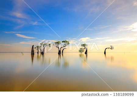 Beautiful tropical beach sea and ocean with mangrove tree on blue sky and white cloud Beautiful tropical beach sea and ocean with mangrove tree on blue sky and white cloud 138189099
