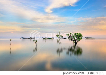 Beautiful tropical beach sea and ocean with mangrove tree on blue sky and white cloud 138189113