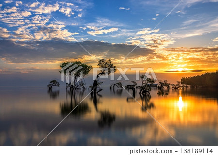 Beautiful tropical beach sea and ocean with mangrove tree on blue sky and white cloud 138189114