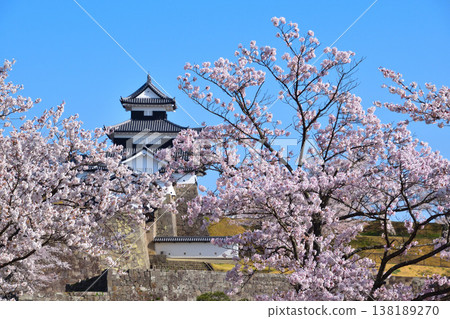 Sakurakei Shirakawa Komine Castle Sakurakei Shirakawa Komine Castle 138189270