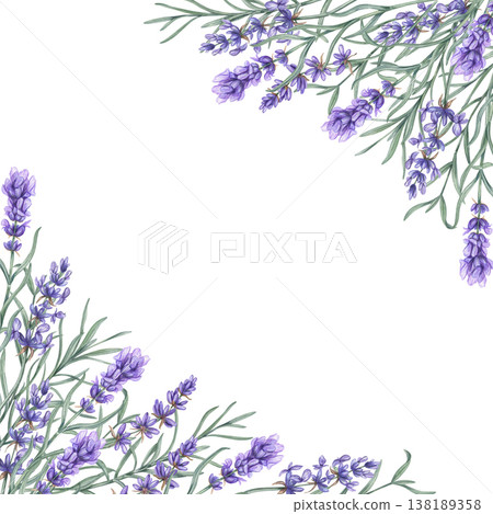 watercolor purple Lavender flowers and green leaves square border on isolated background. Lilac wildflowers frame with copy space for text. Floral template for wedding invitations, wellness label watercolor purple Lavender flowers and green leaves square border on isolated background. Lilac wildflowers frame with copy space for text. Floral template for wedding invitations, wellness label 138189358