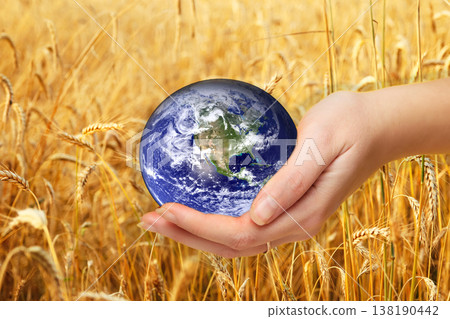 Global food security and agricultural crisis concept. Hand holding planet Earth globe against a background of golden wheat field. World hunger and environment protection 138190442