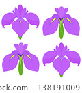 Simple irises illustration 138191009